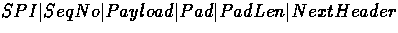 \( SPI \vert Seq No \vert Payload \vert Pad \vert Pad Len \vert Next Header \)