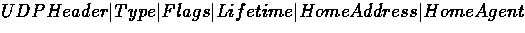 \( UDP Header \vert Type \vert Flags \vert Lifetime \vert Home Address \vert Home Agent \)