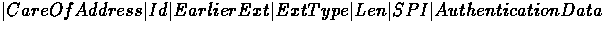 \( \vert CareOf Address \vert Id \vert Earlier Ext \vert Ext Type \vert Len \vert SPI \vert 
Authentication Data \)