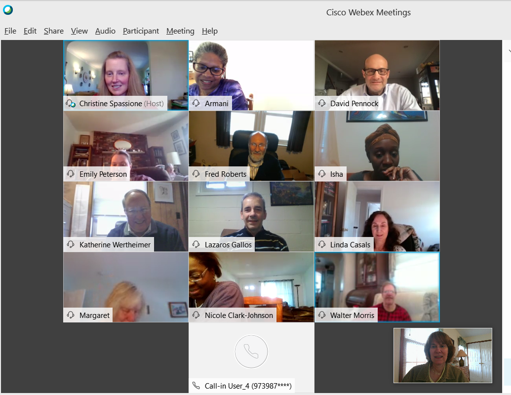 Group meeting on Zoom