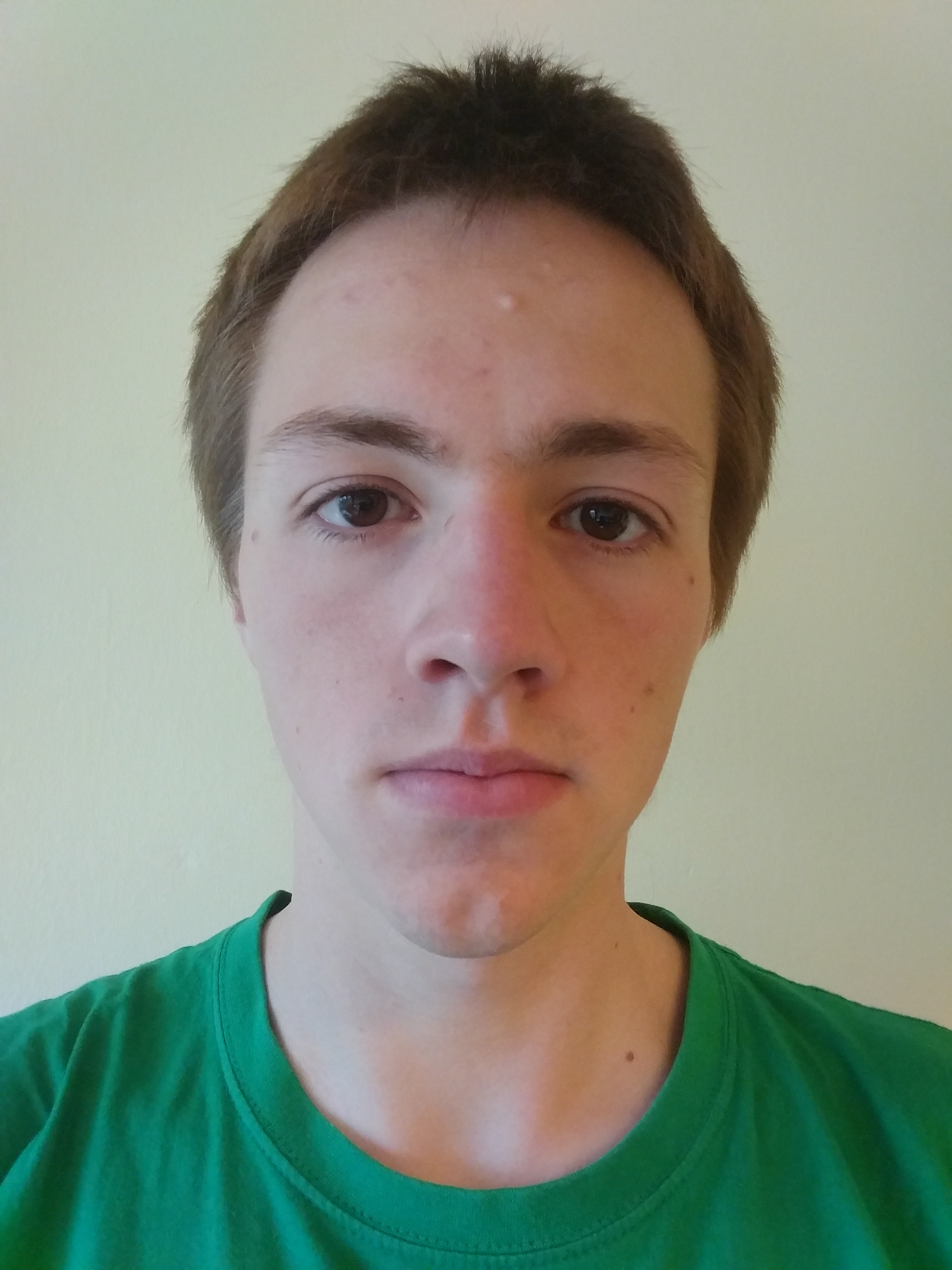 Stepan Simsa participant image